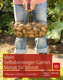 Mein Selbstversorger Garten.jpg